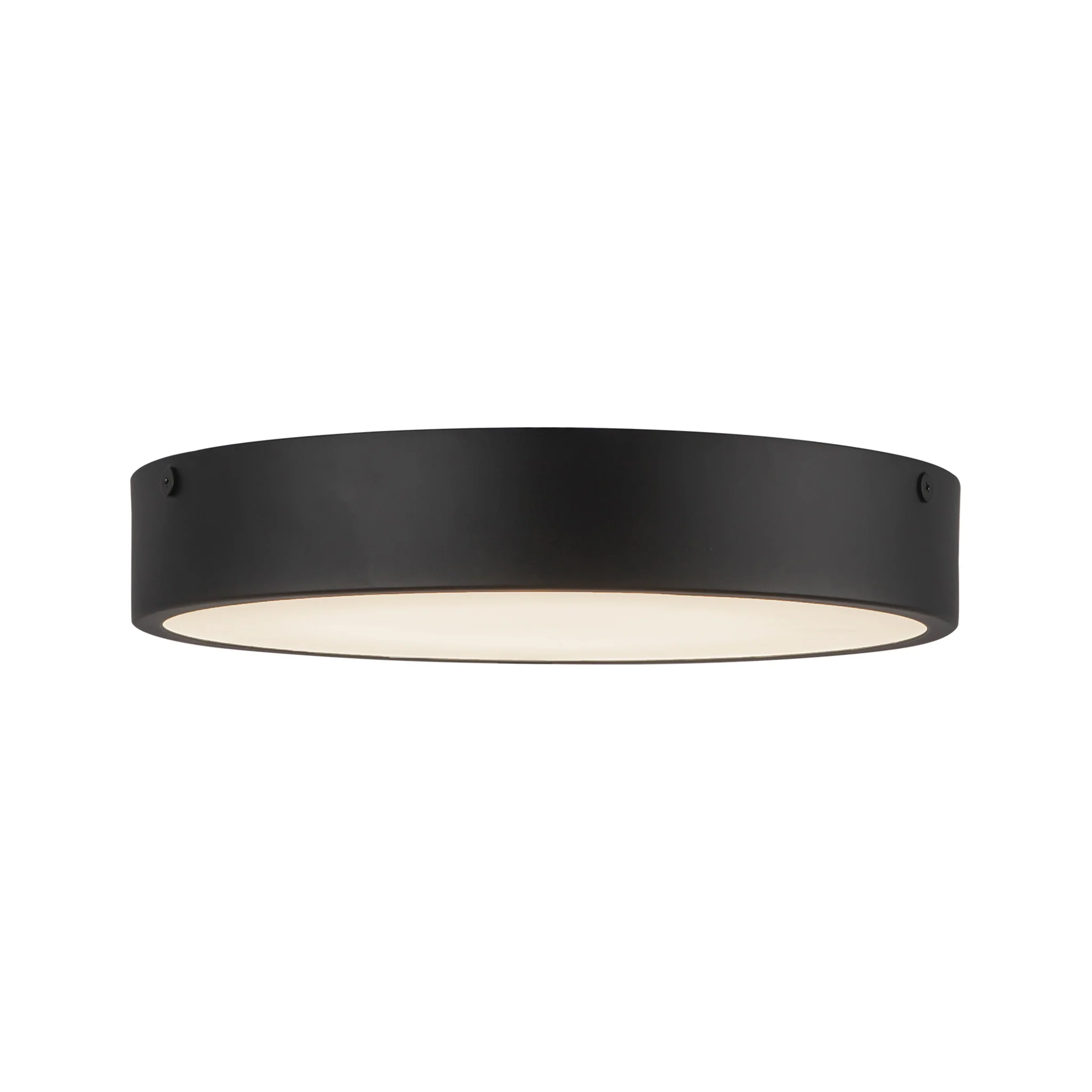 Alencyon Ceiling Light