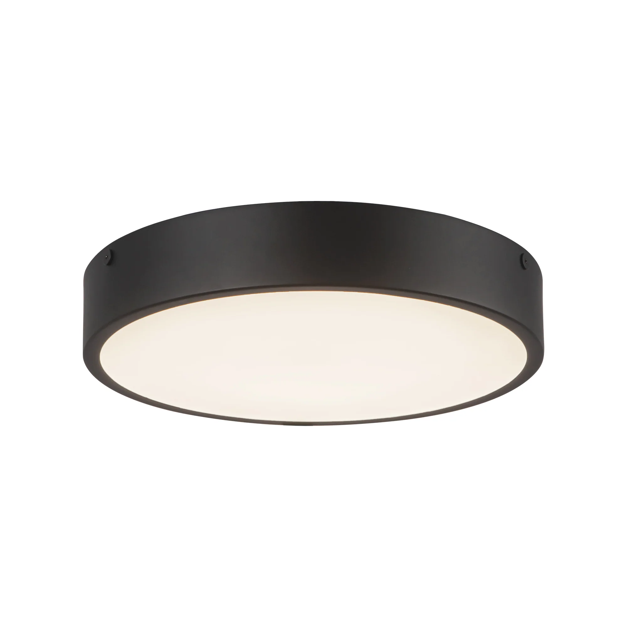 Alencyon Ceiling Light - Image 4