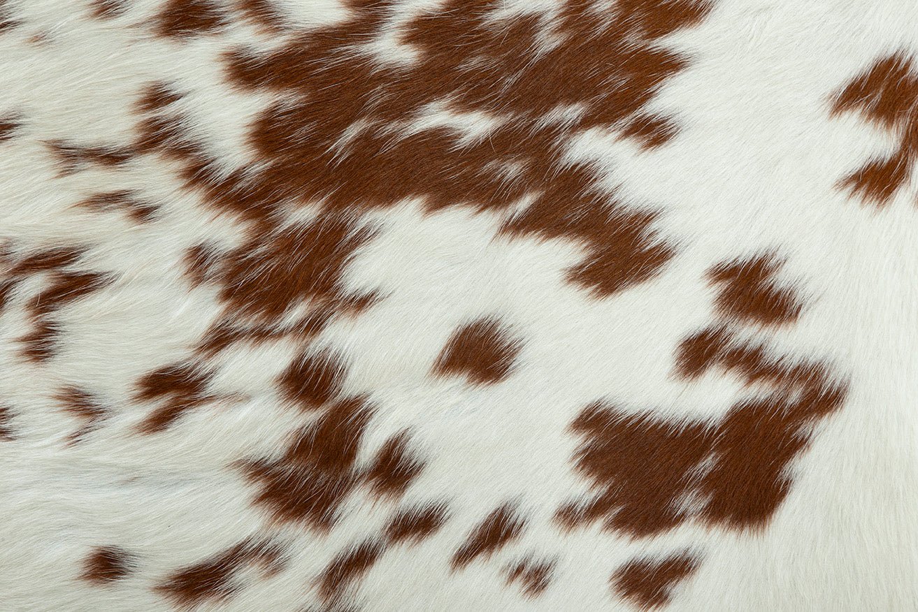 Amarillo Leather Hide Armchair - Image 11