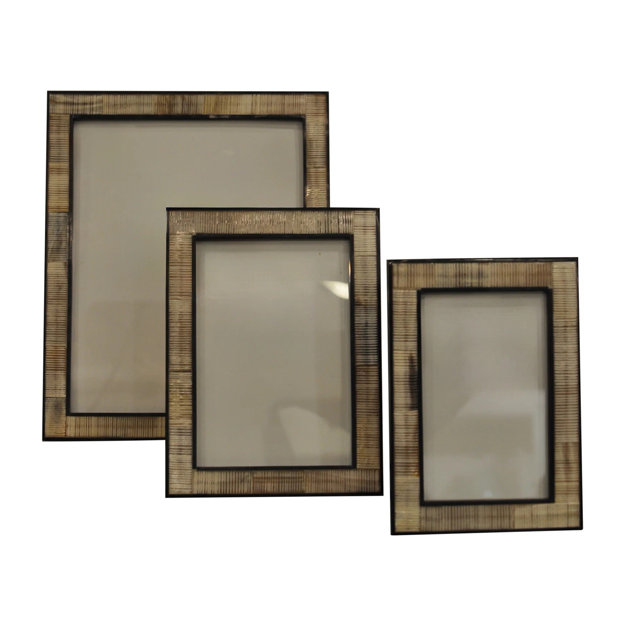 Ardell Horn Frame