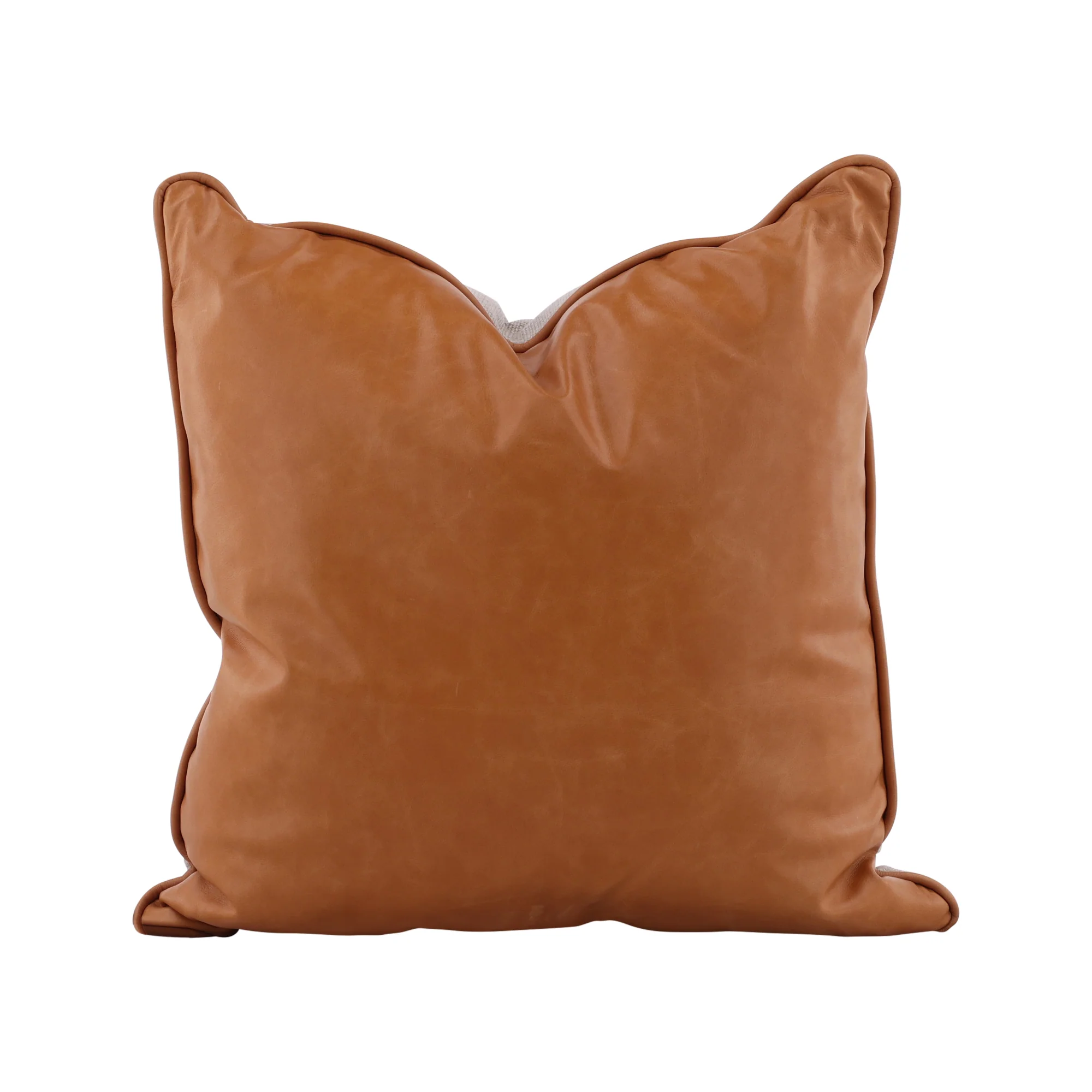 Aveline Leather Accent Pillow - Image 2