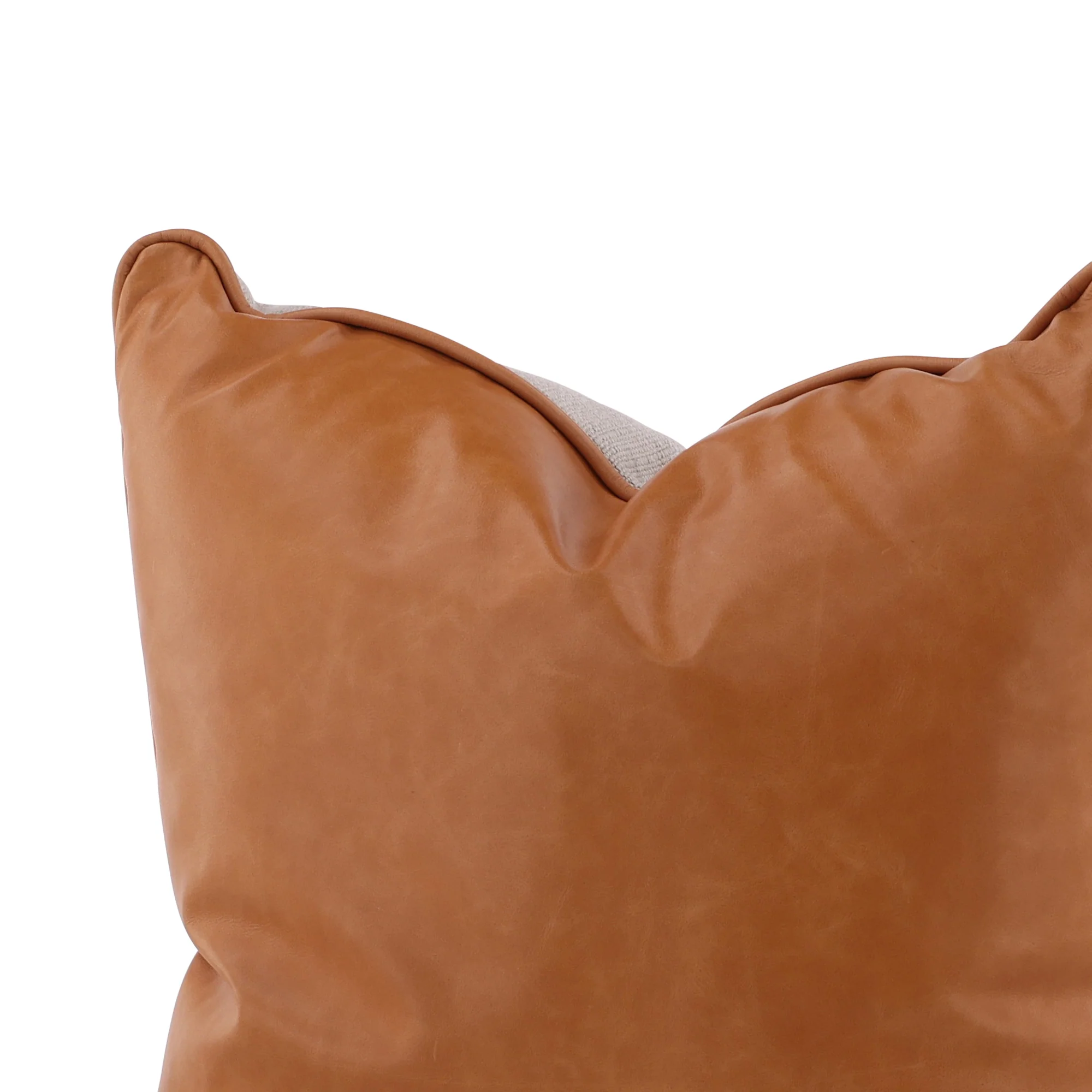 Aveline Leather Accent Pillow - Image 3