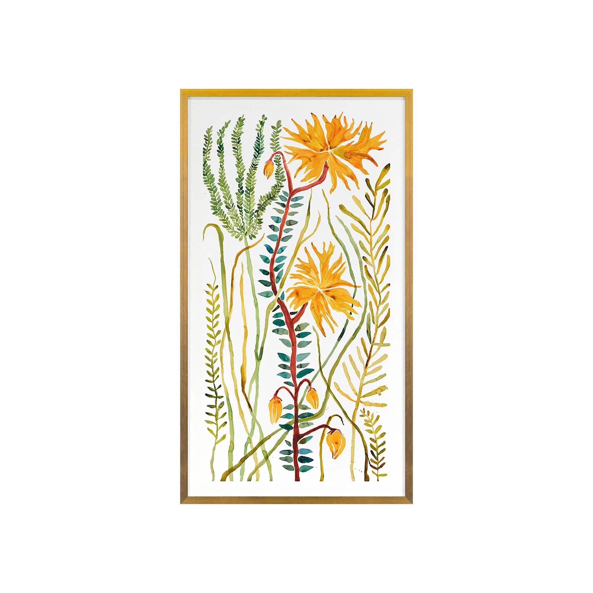 Botanicals by the Alagnon