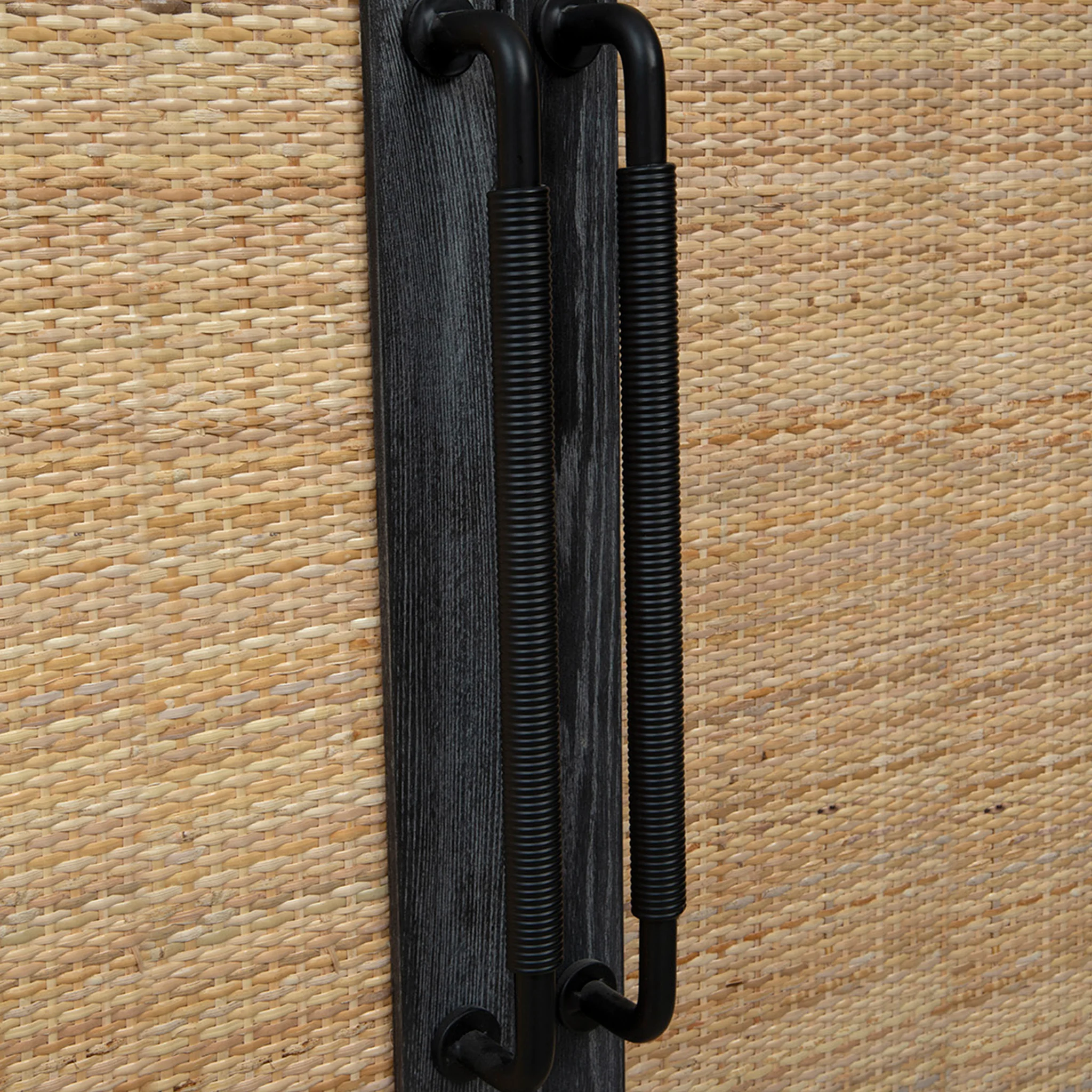 Columba Rattan Arched Cabinet - Image 7