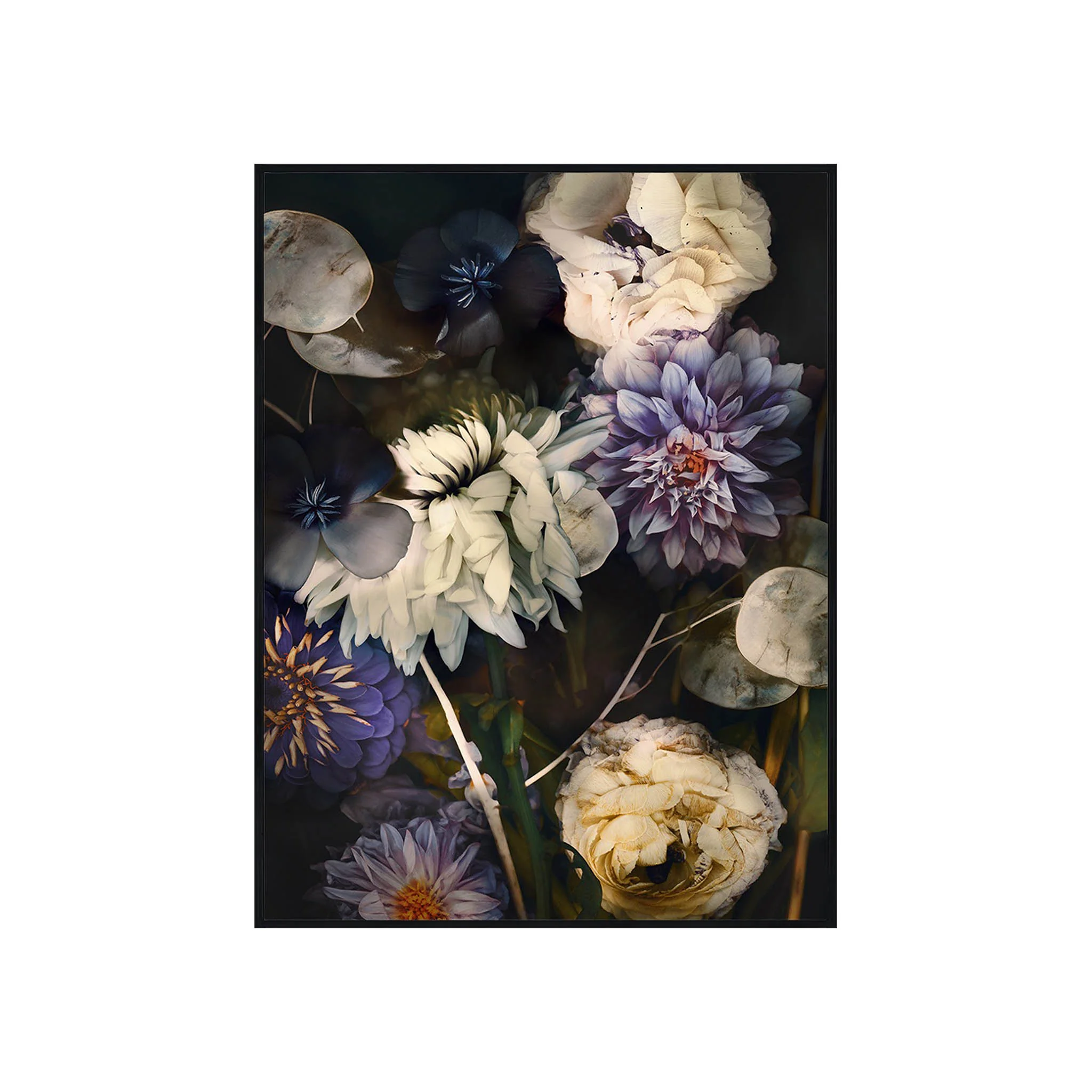 Enigmatic Florals I