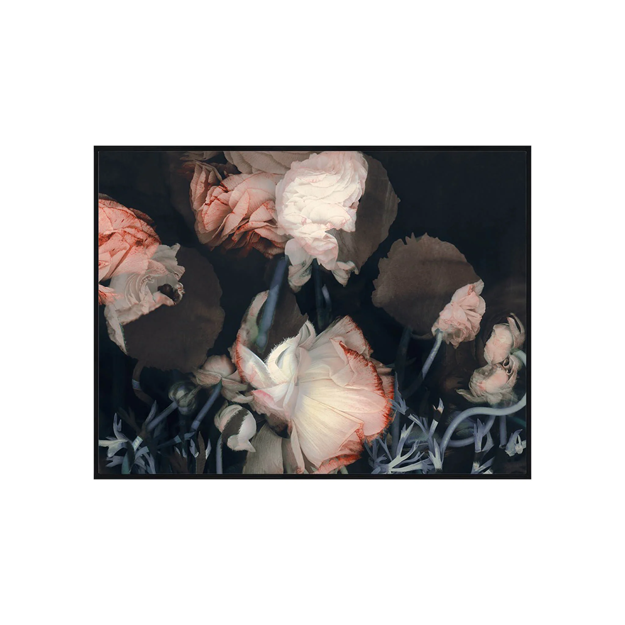 Enigmatic Florals II - Image 2