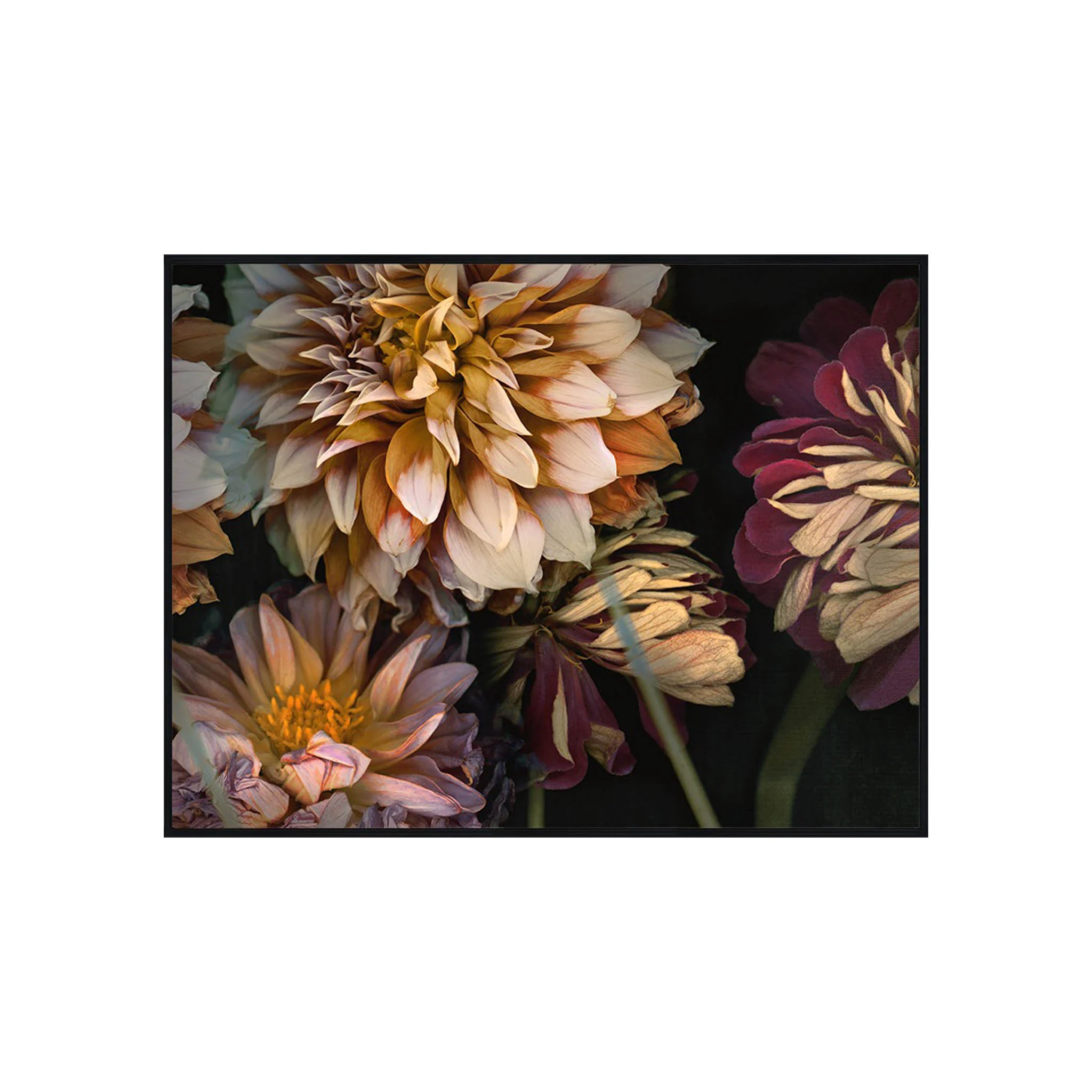 Enigmatic Florals III - Image 2