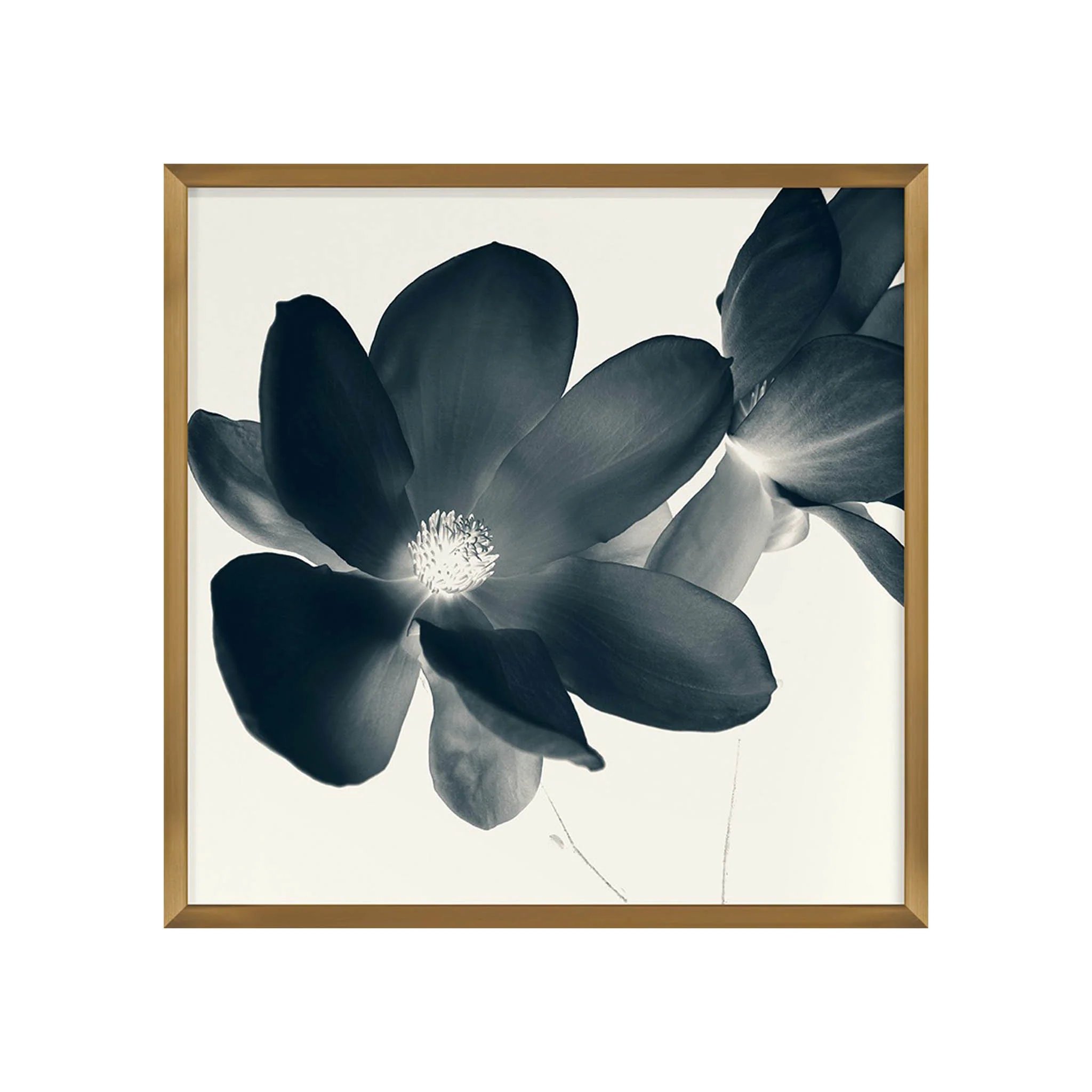 Fiore del Sud I - Image 2
