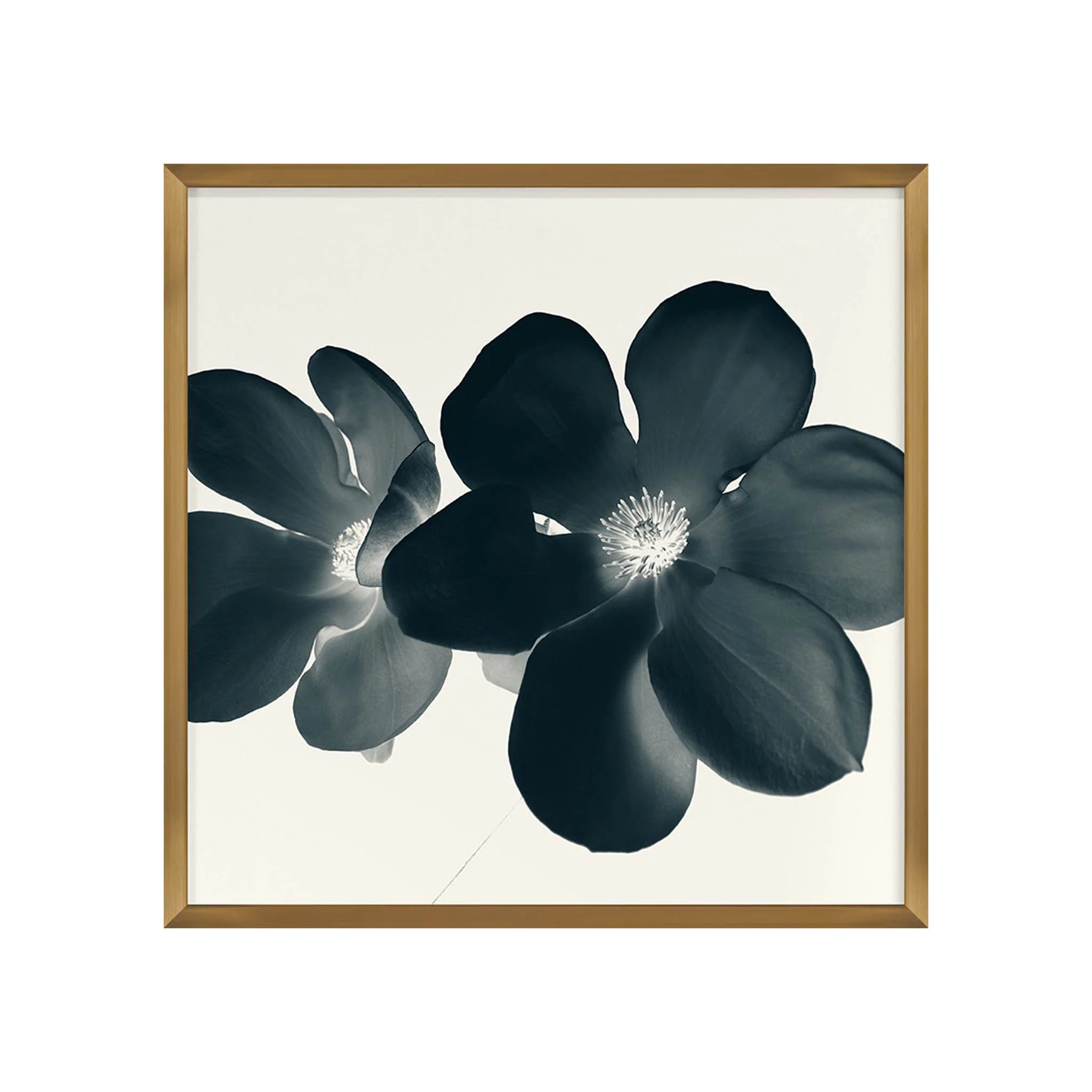 Fiore del Sud II