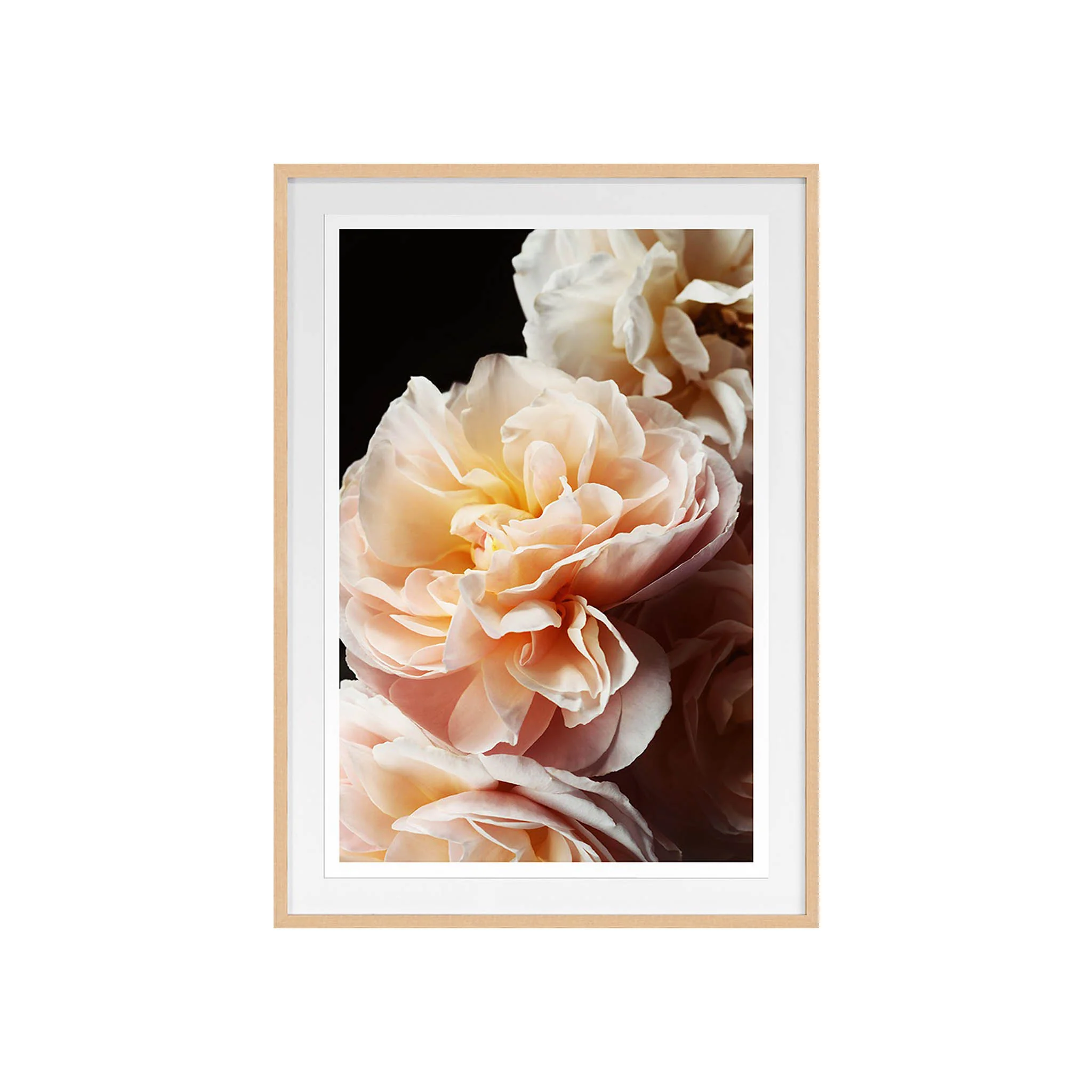 Full Bloom I - Image 2