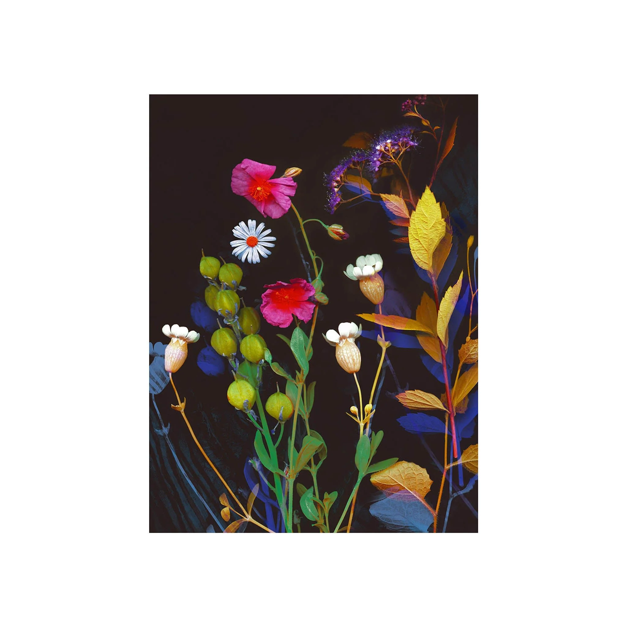 Midnight Garden II - Image 2