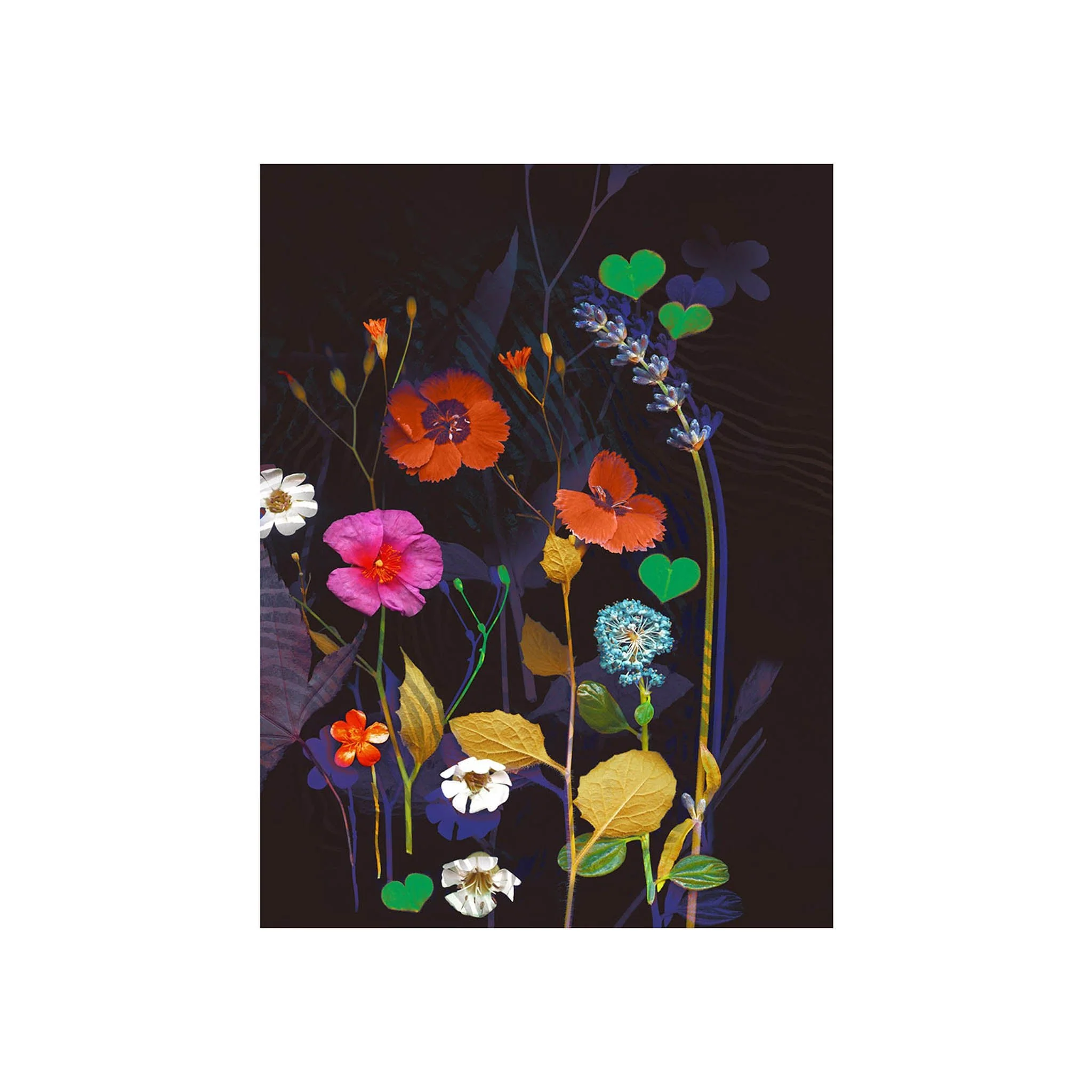 Midnight Garden III