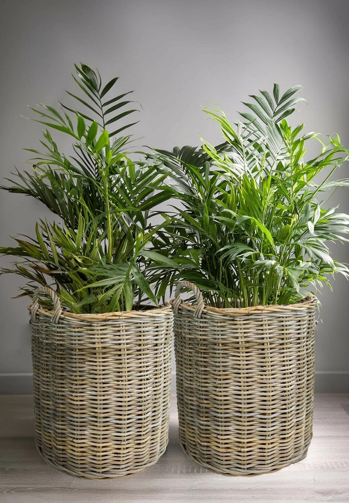 Orvella Rattan Basket Set - Image 4