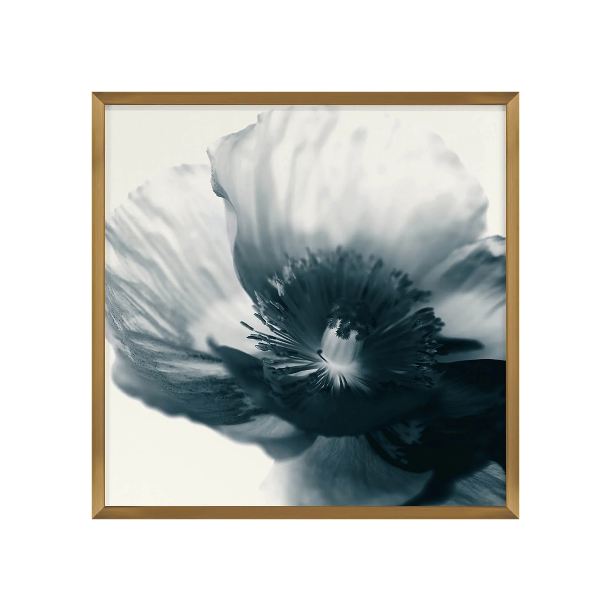 Papavero Framed Art Print - Image 2