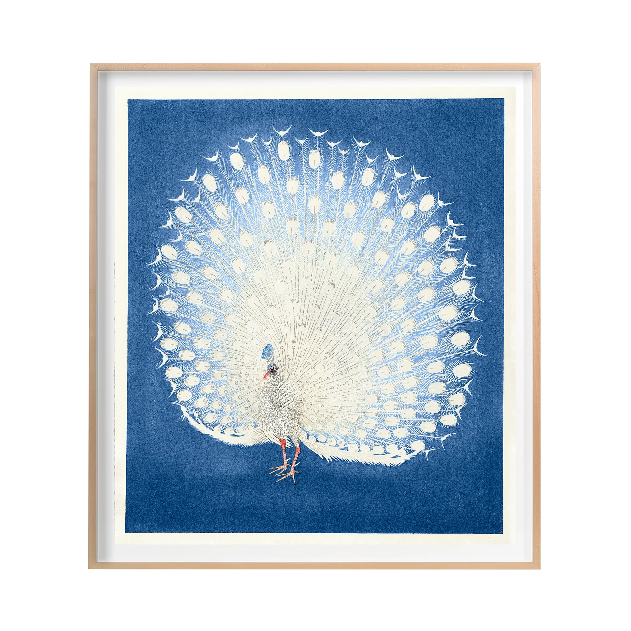 Sabari White Peacock Print - Image 2