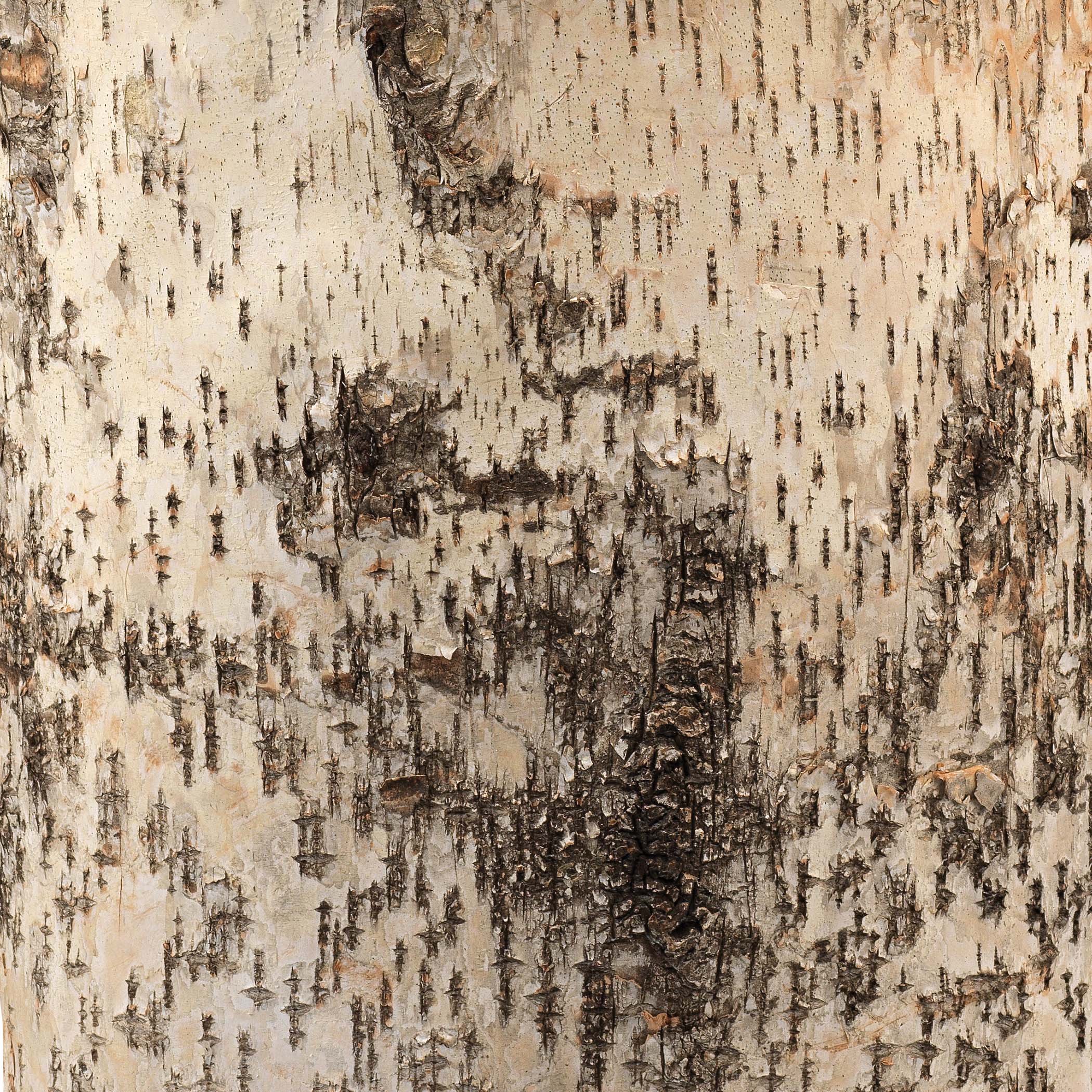 Aspen Table Lamp - Image 3