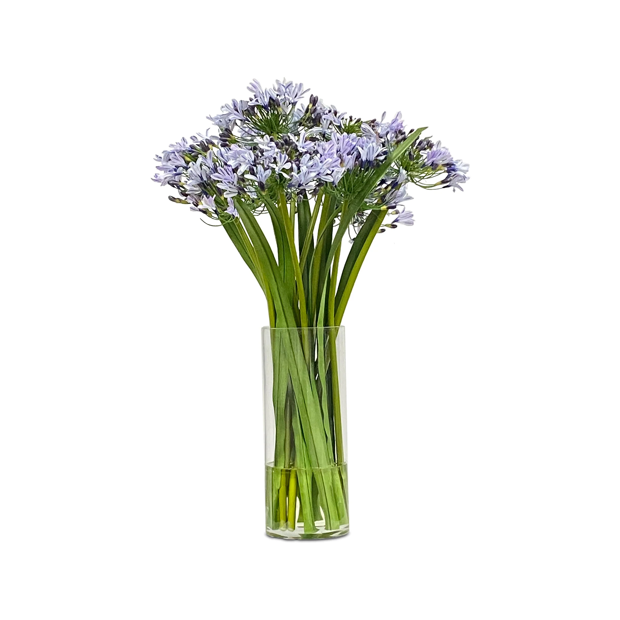 The Cape Town Park Bouquet
