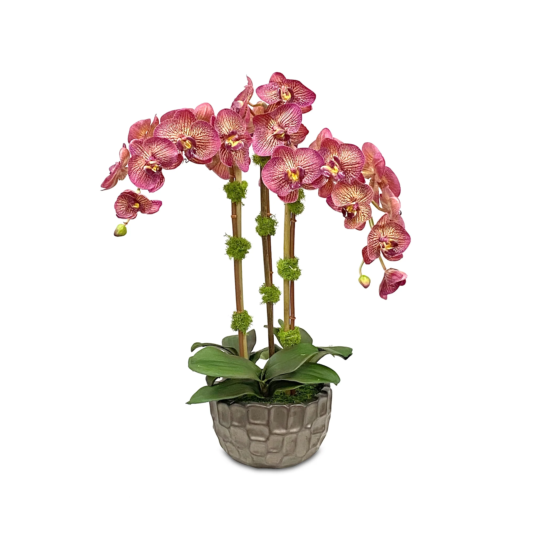 The Longwood Bouquet