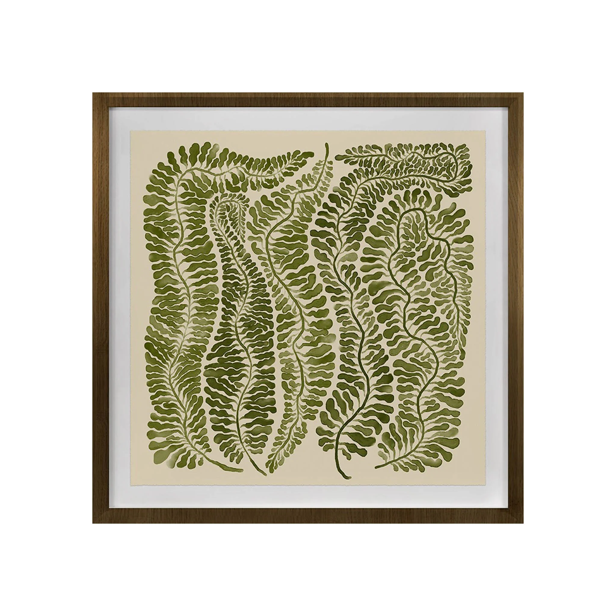 Uncommon Ferns III - Image 2