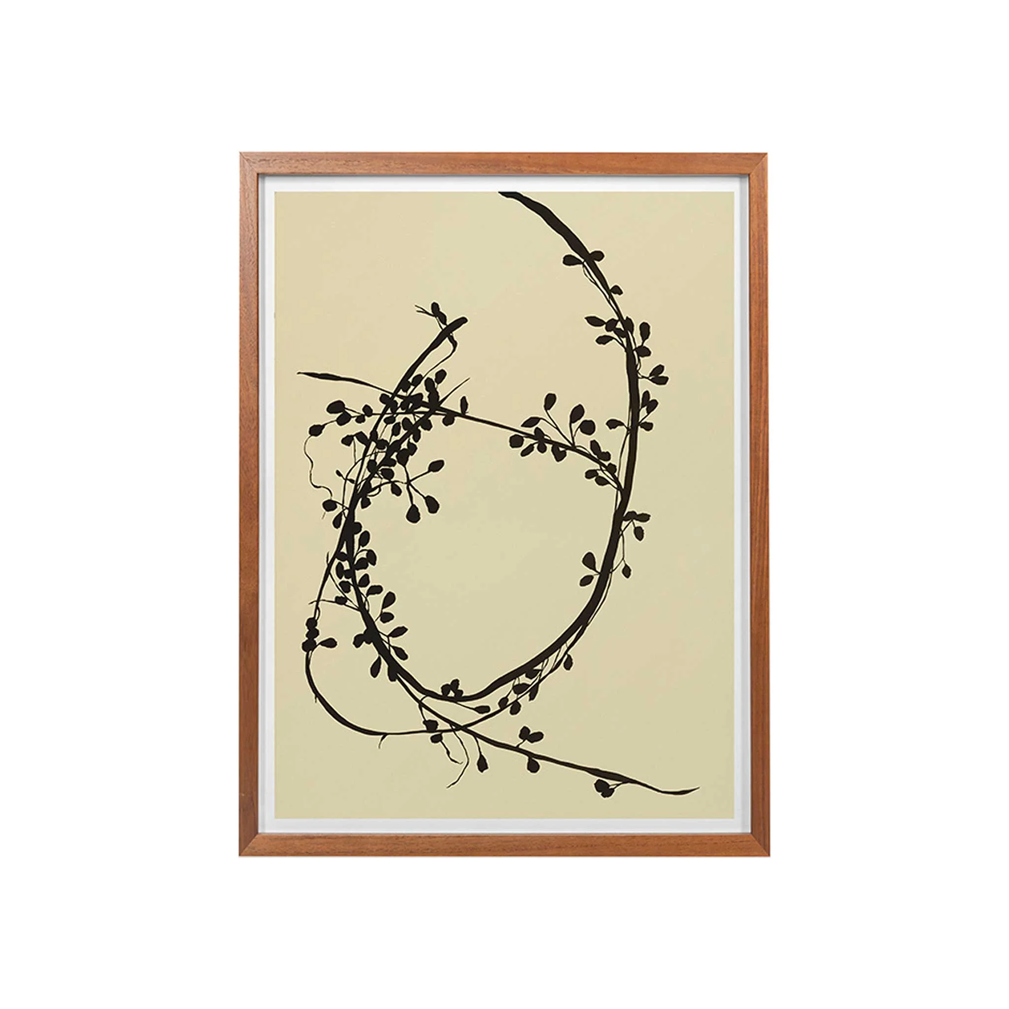 Vigne Incurvee Framed Art Print